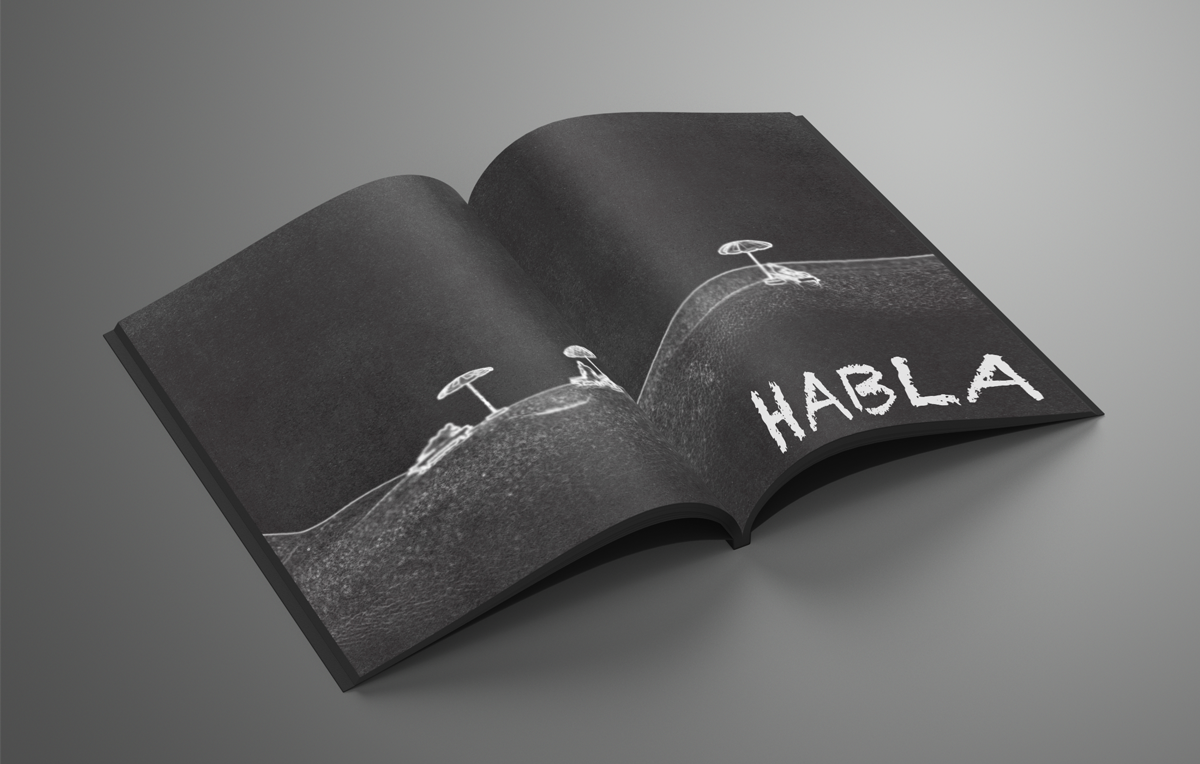 Portada de seccion interior de la propuesta para el catalogo de vinos